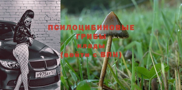 прущая мука Михайловск