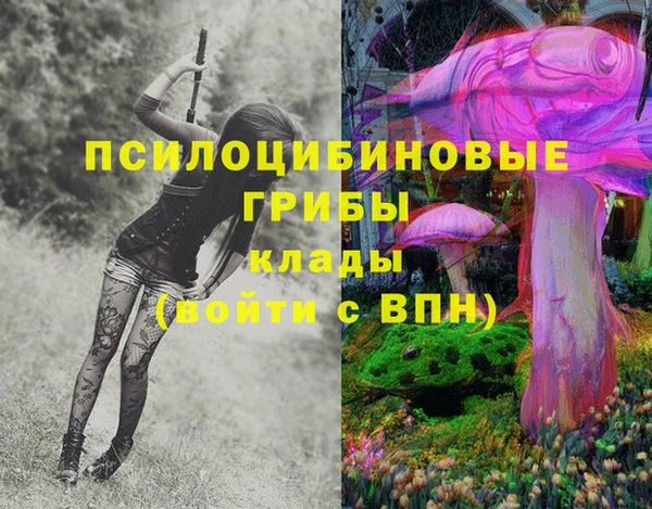 метадон Михайлов
