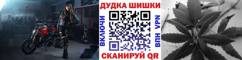 Шишки марихуана конопля  ОМГ ОМГ как зайти  Нальчик 